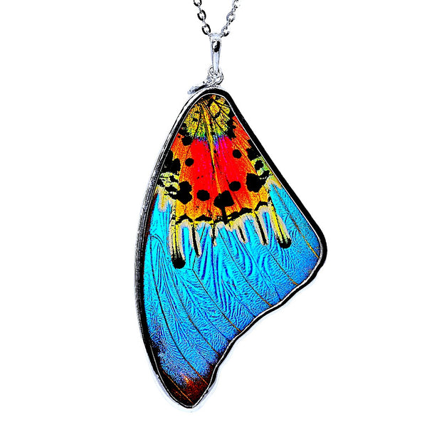 Genuine Morpho Ripheous Butterfly Large Wing Necklace