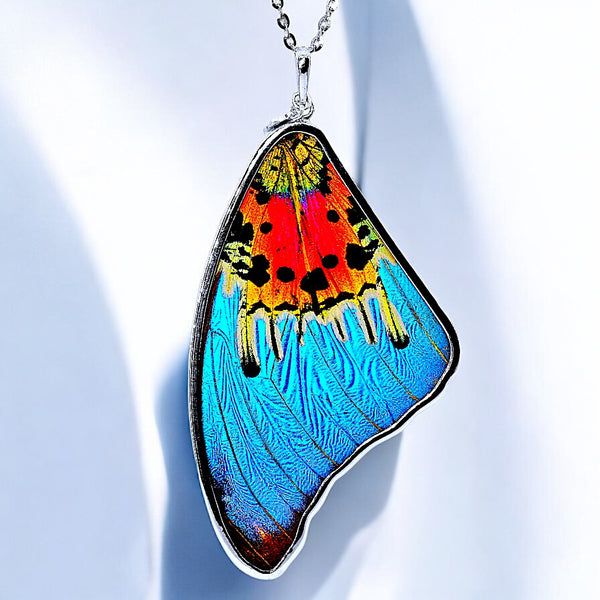Genuine Morpho Ripheous Butterfly Large Wing Necklace