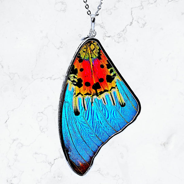 Genuine Morpho Ripheous Butterfly Large Wing Necklace