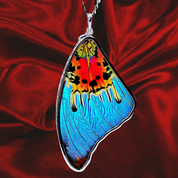 Genuine Morpho Ripheous Butterfly Large Wing Necklace