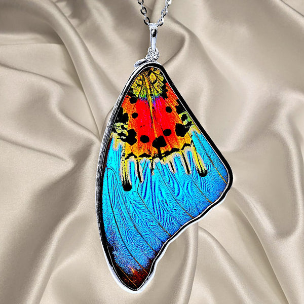 Genuine Morpho Ripheous Butterfly Large Wing Necklace