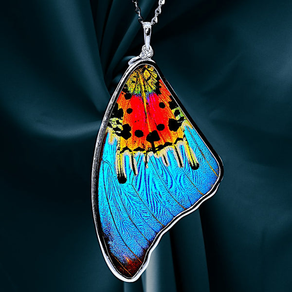 Genuine Morpho Ripheous Butterfly Large Wing Necklace