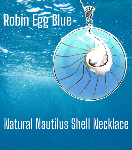 Robin Egg Blue Natural Nautilus Shell Necklace