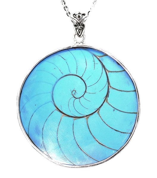 Robin Egg Blue Natural Nautilus Shell Necklace