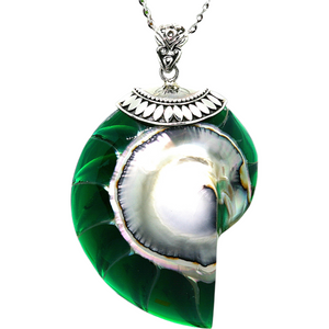Green Natural Nautilus Pearl Shell Necklace