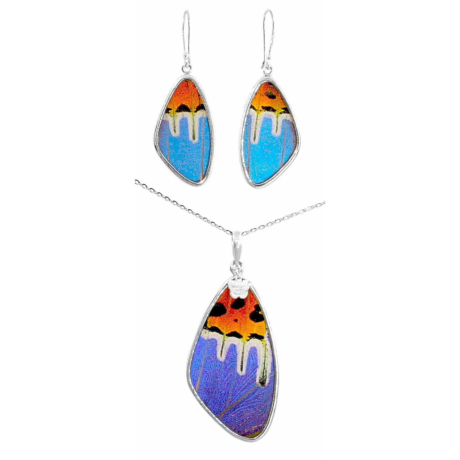 Freeform Blue Butterfly Set