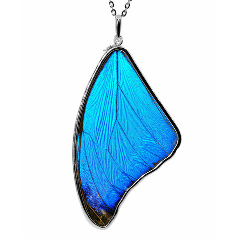 Morpho Large Butterfly Wing Necklace