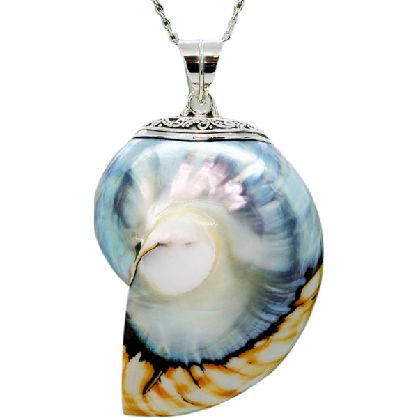 Tiger Natural Nautilus Pearl Shell Necklace