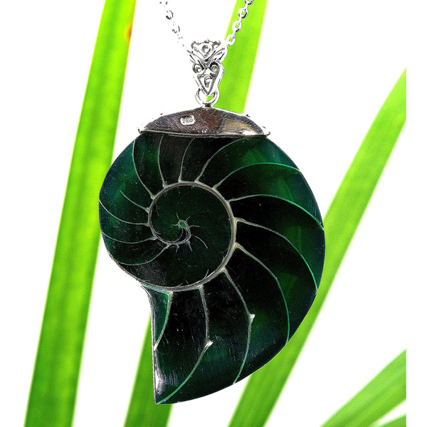 Green Natural Nautilus Pearl Shell Necklace