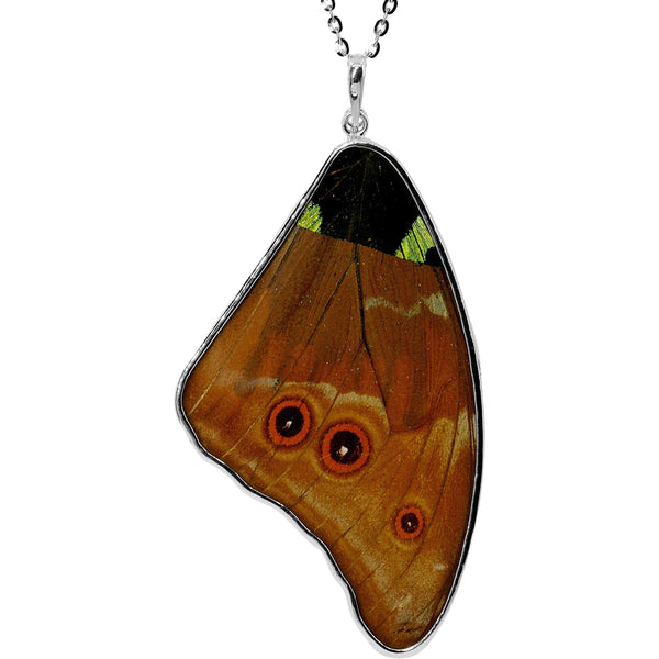 Morpho Ripheous B Large Butterfly Wing Necklace
