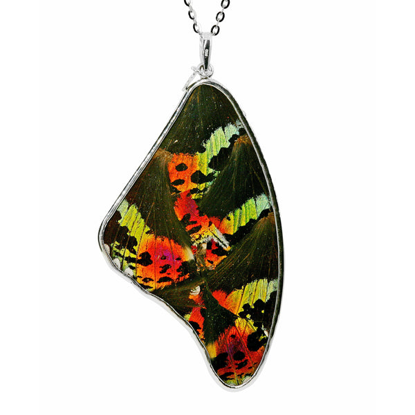 Urania Ripheous Large Butterfly Wing Necklace