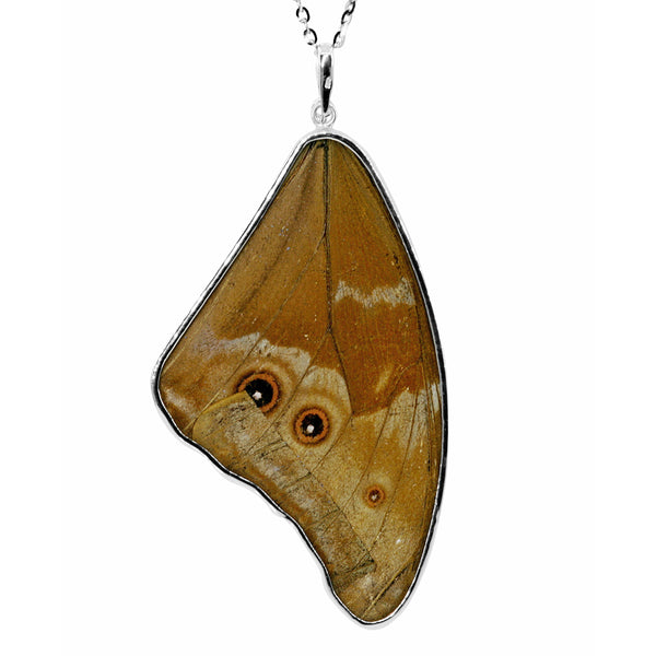 Morpho Large Butterfly Wing Necklace