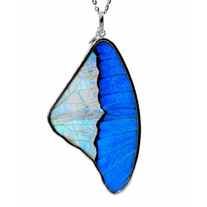Morpho & Sulkowski Large Butterfly Wing Necklace