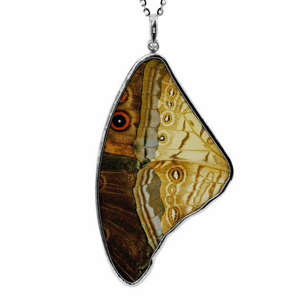 Morpho & Sulkowski Large Butterfly Wing Necklace